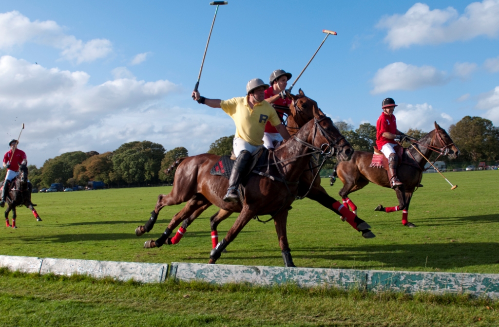 Argentina Mecca of Polo