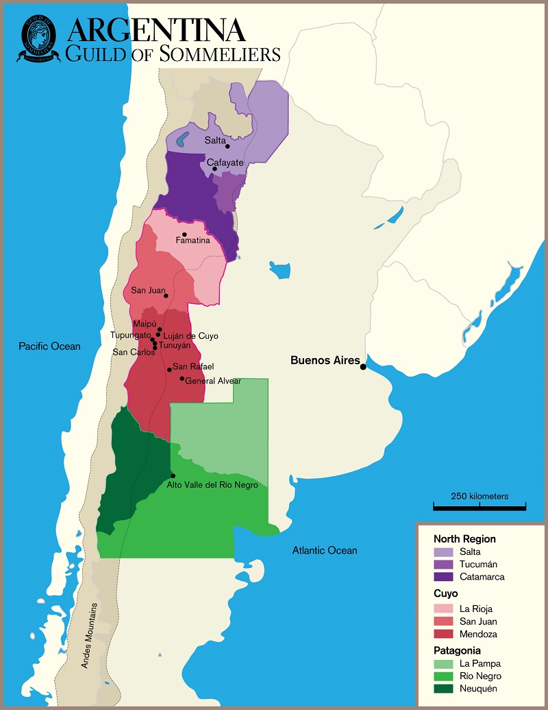 argentina wine map